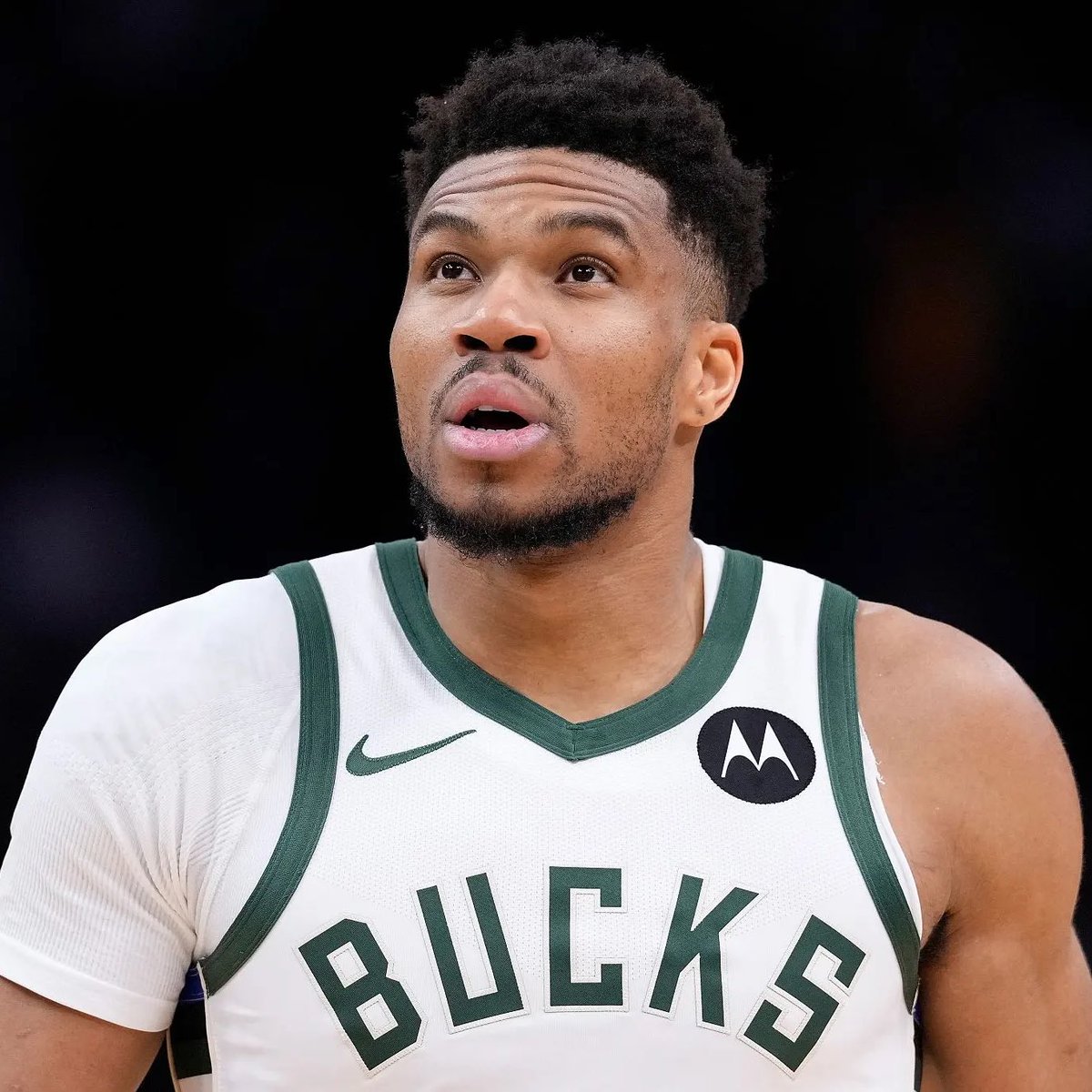 Legion Hoops tweet media