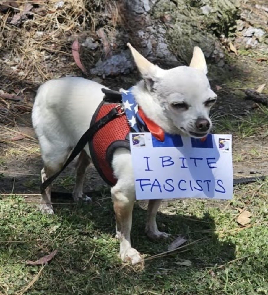 💕 Brittany Belle 💕 tweet media