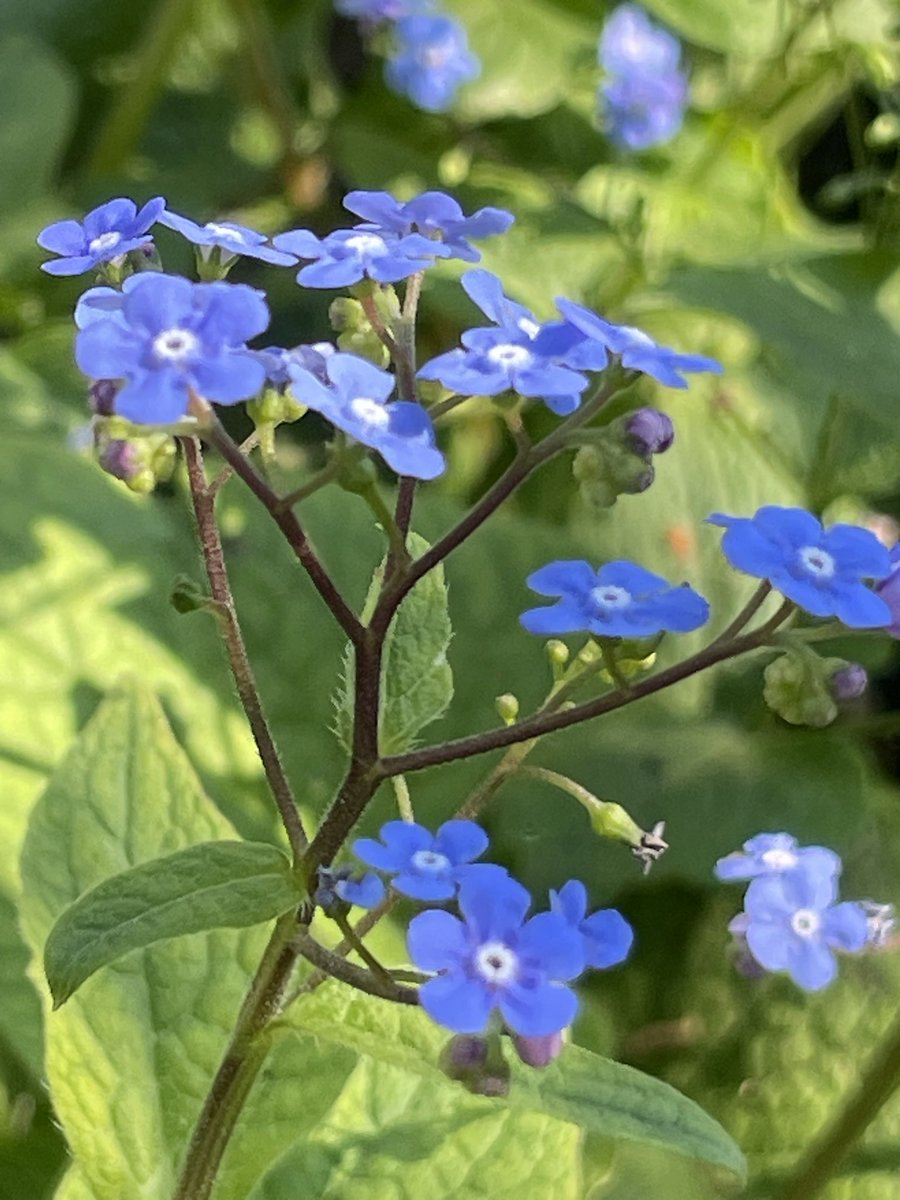 Sev In Paris tweet media