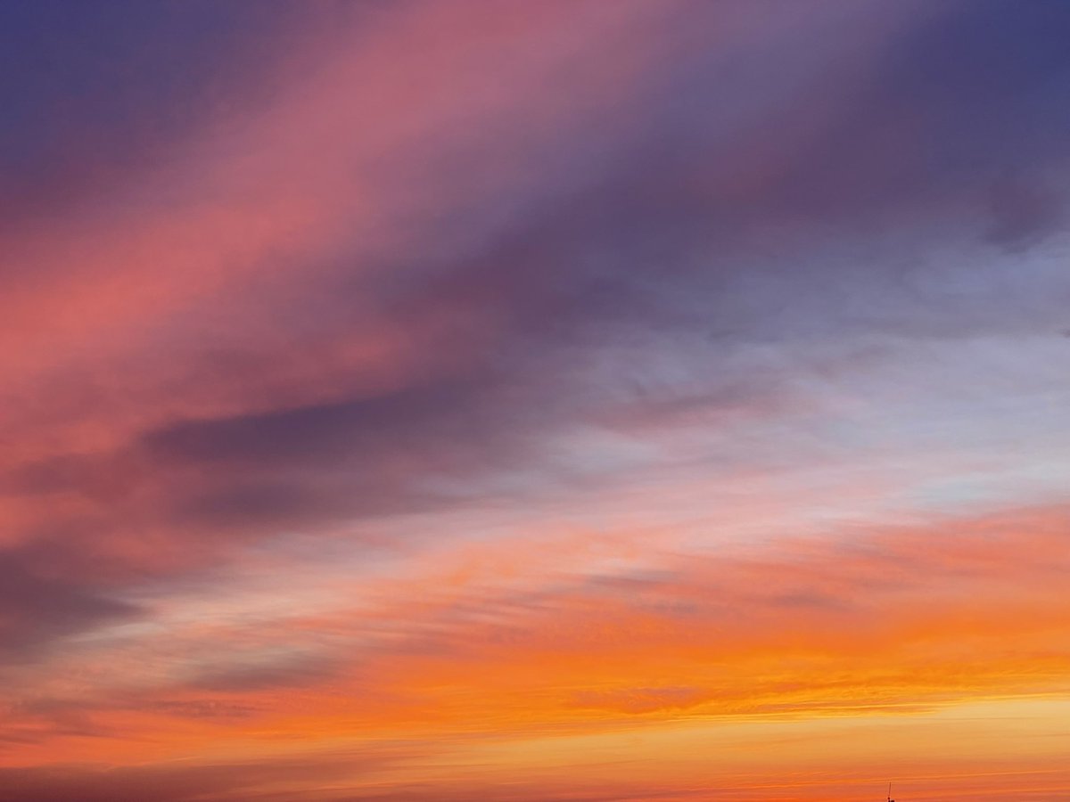 Sev In Paris tweet media