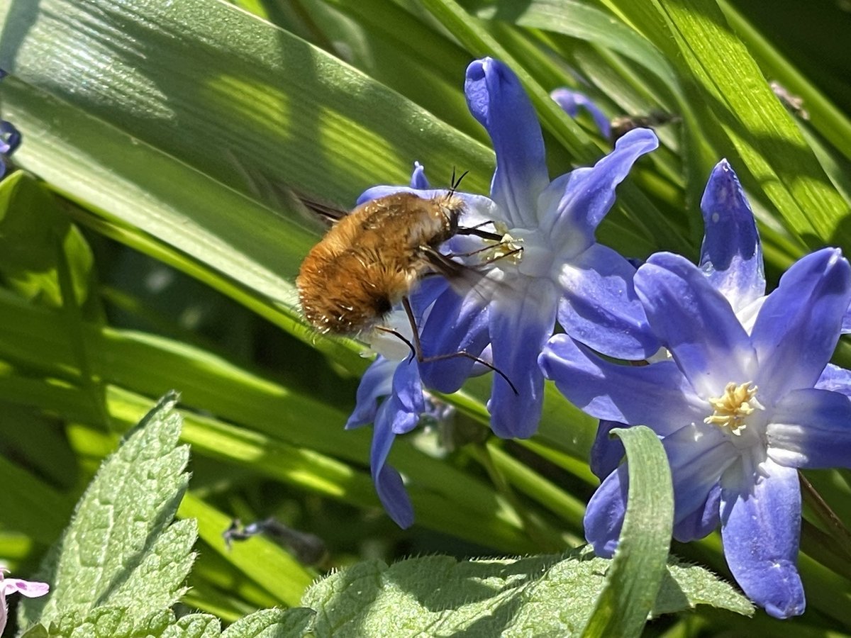 Sev In Paris tweet media