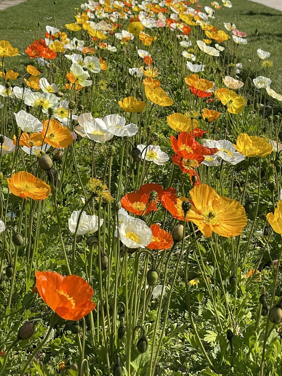 Sev In Paris tweet media