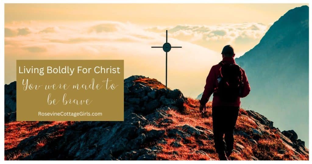 Rosevine Cottage Girls tweet media