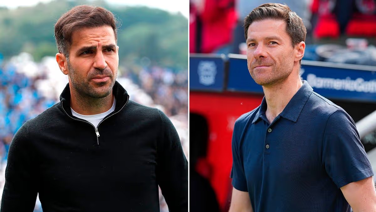 Vince™ tweet media