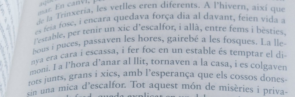 Xavier Rigall tweet media