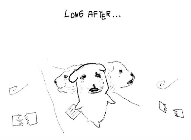 담곰🐻‍❄️🐾 tweet media