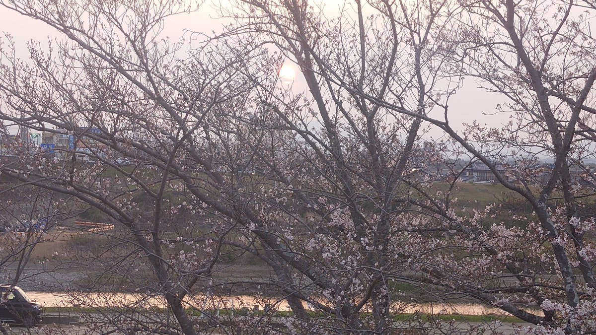 ねずみいろの壜詰 tweet media