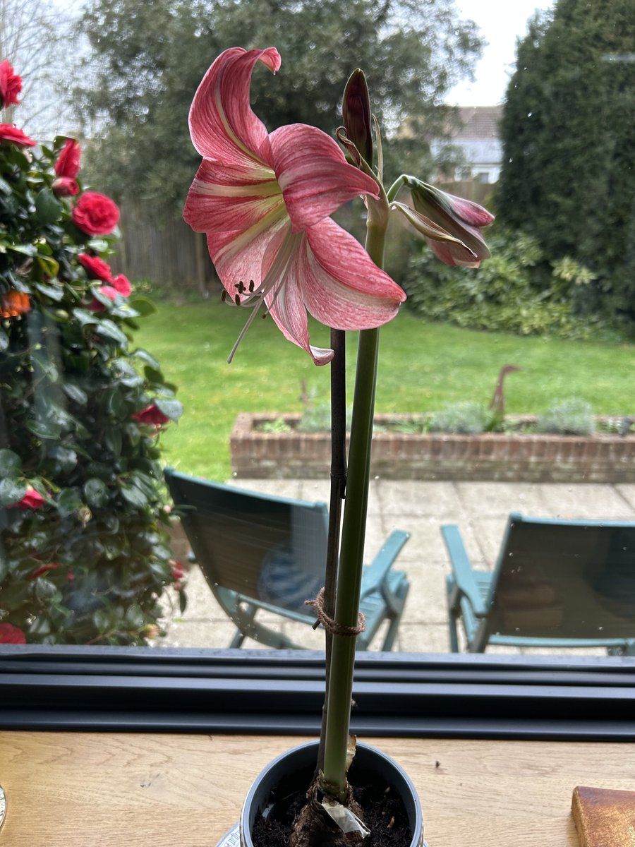 Greg Mosse tweet media