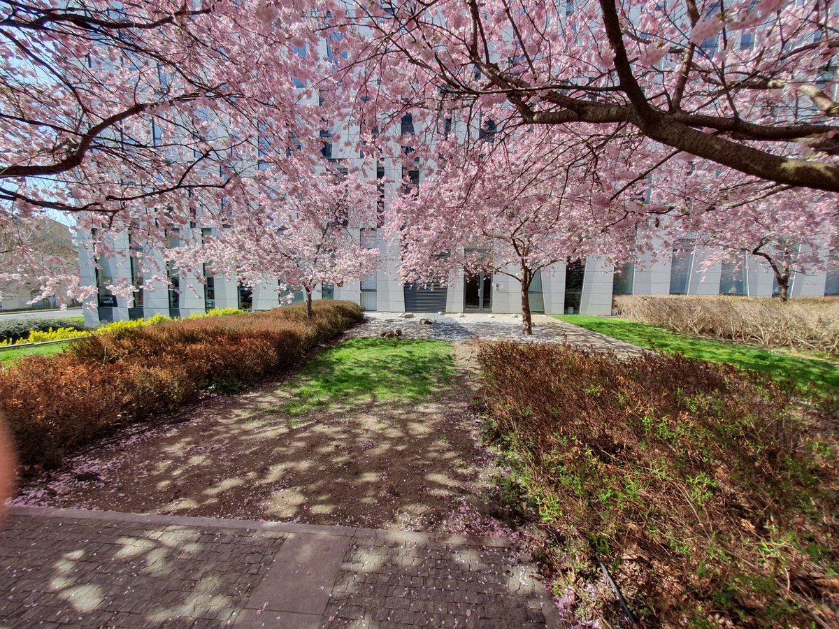 Věrča Mar tweet media