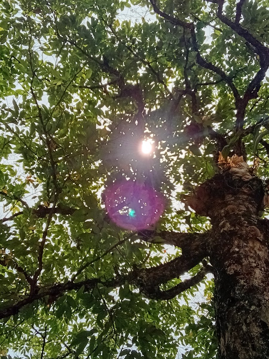 Mo6thegreat tweet media