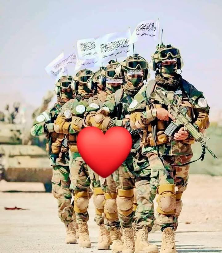 mobarkagah tweet media