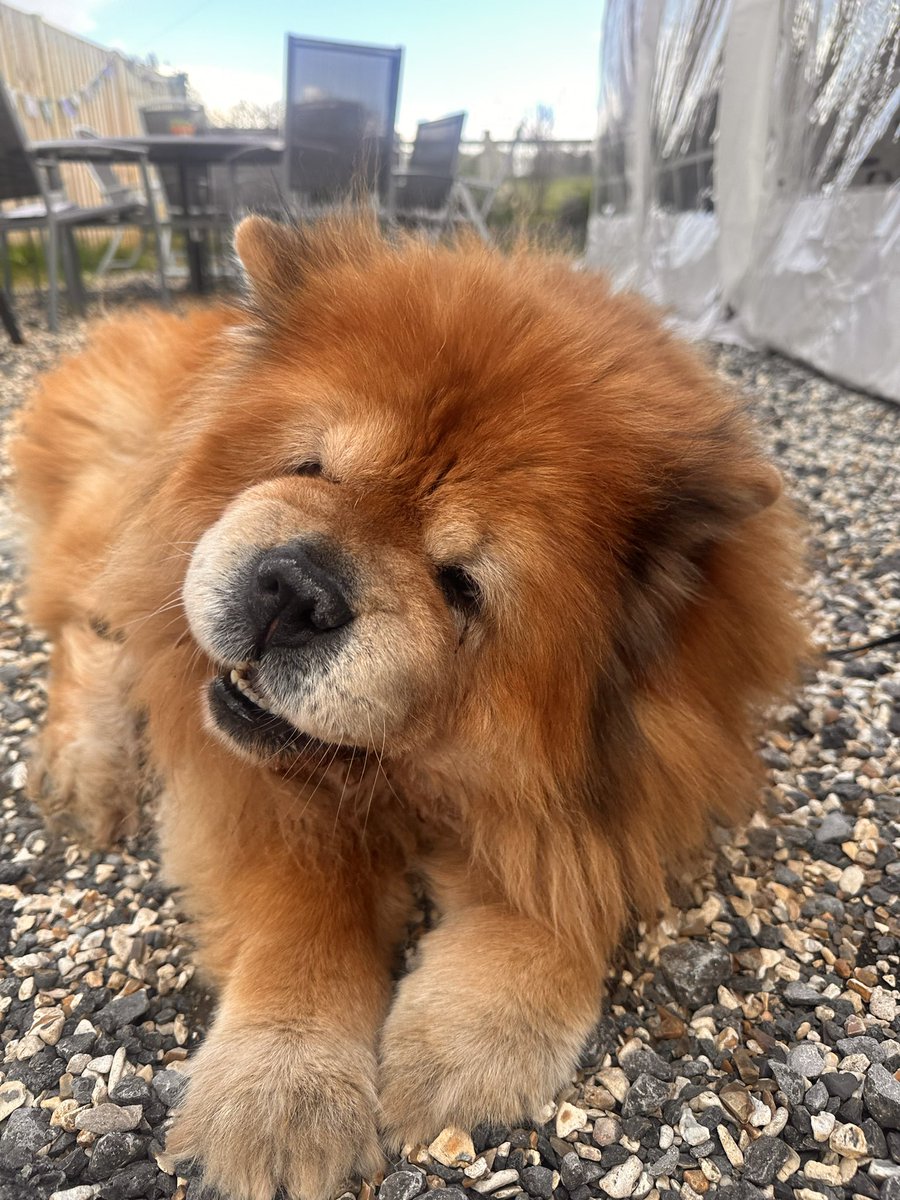 ᑎie 🍸 tweet media