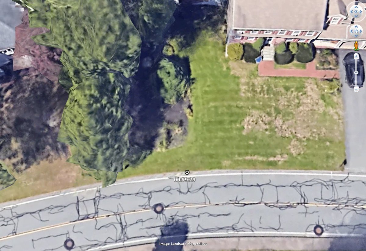 Dan Donovan🌺 tweet media