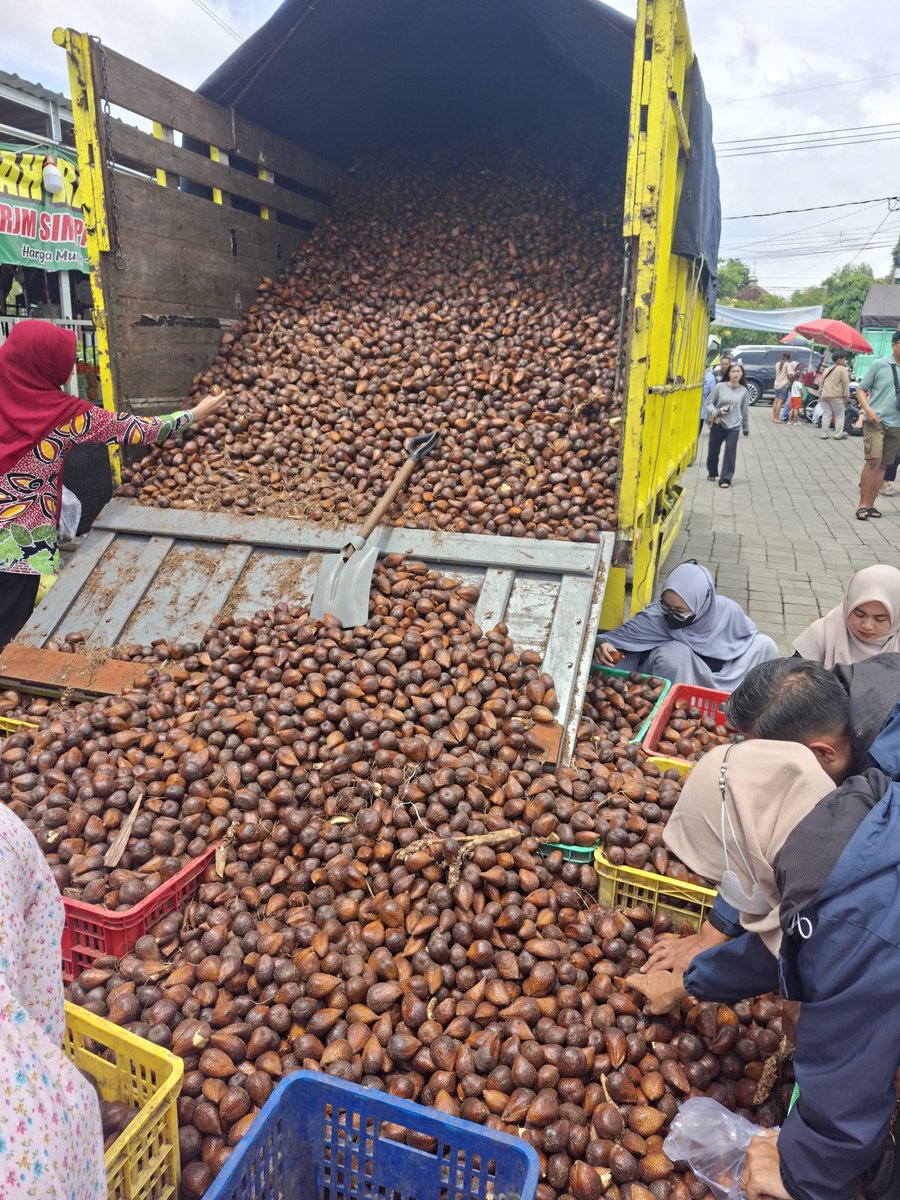 Dreee 💽 tweet media