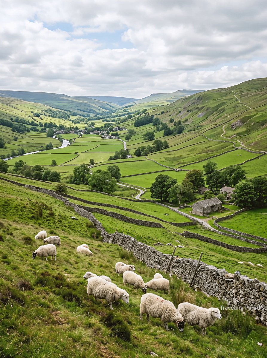 WanderLens tweet media