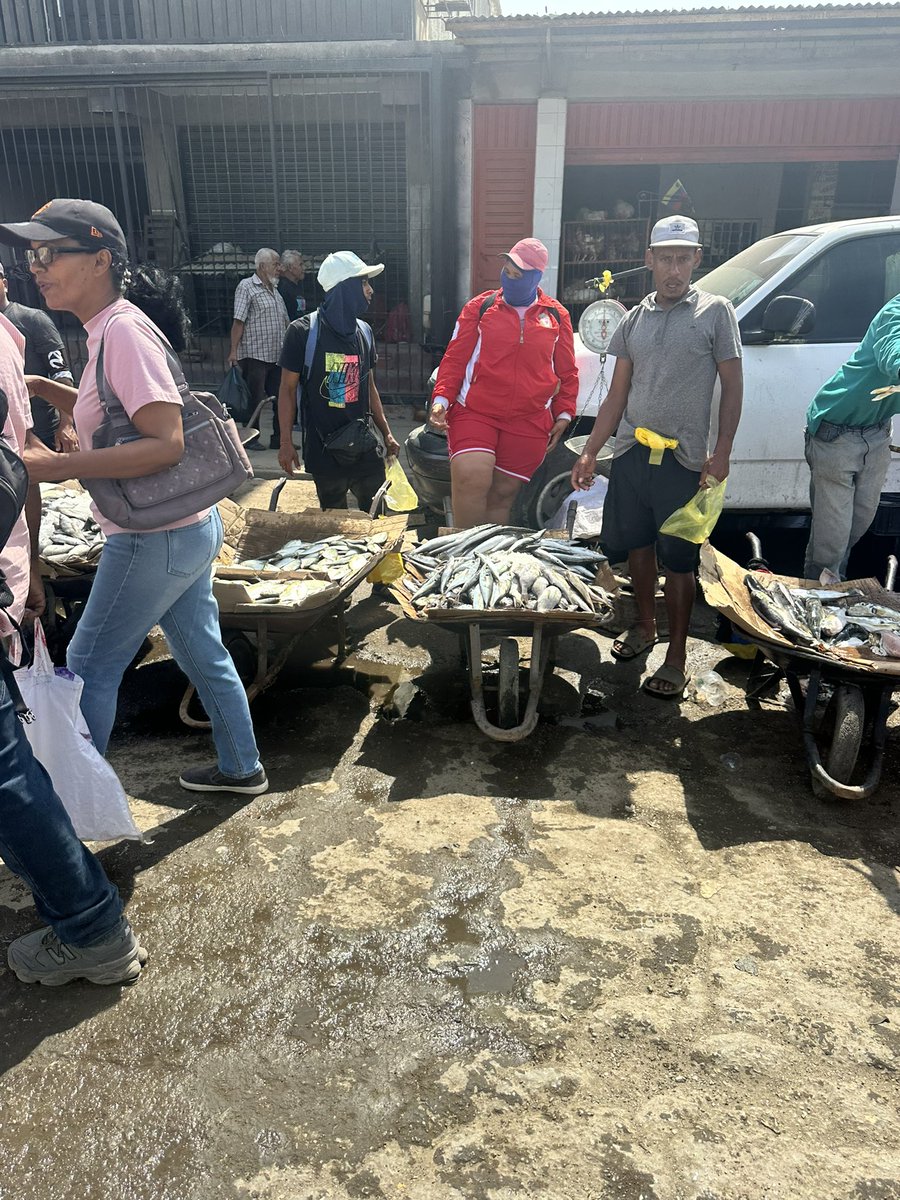 El guaro tweet media