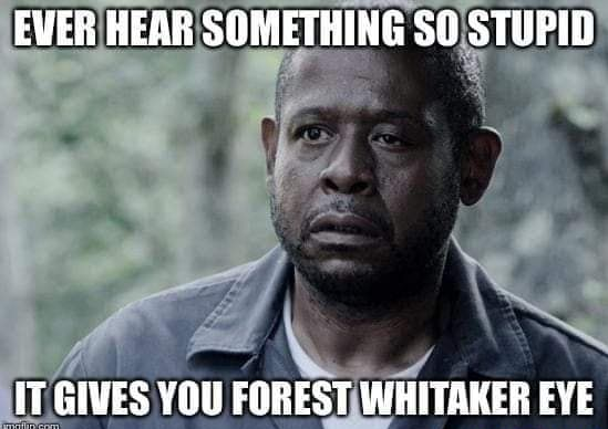 Questron7 tweet media