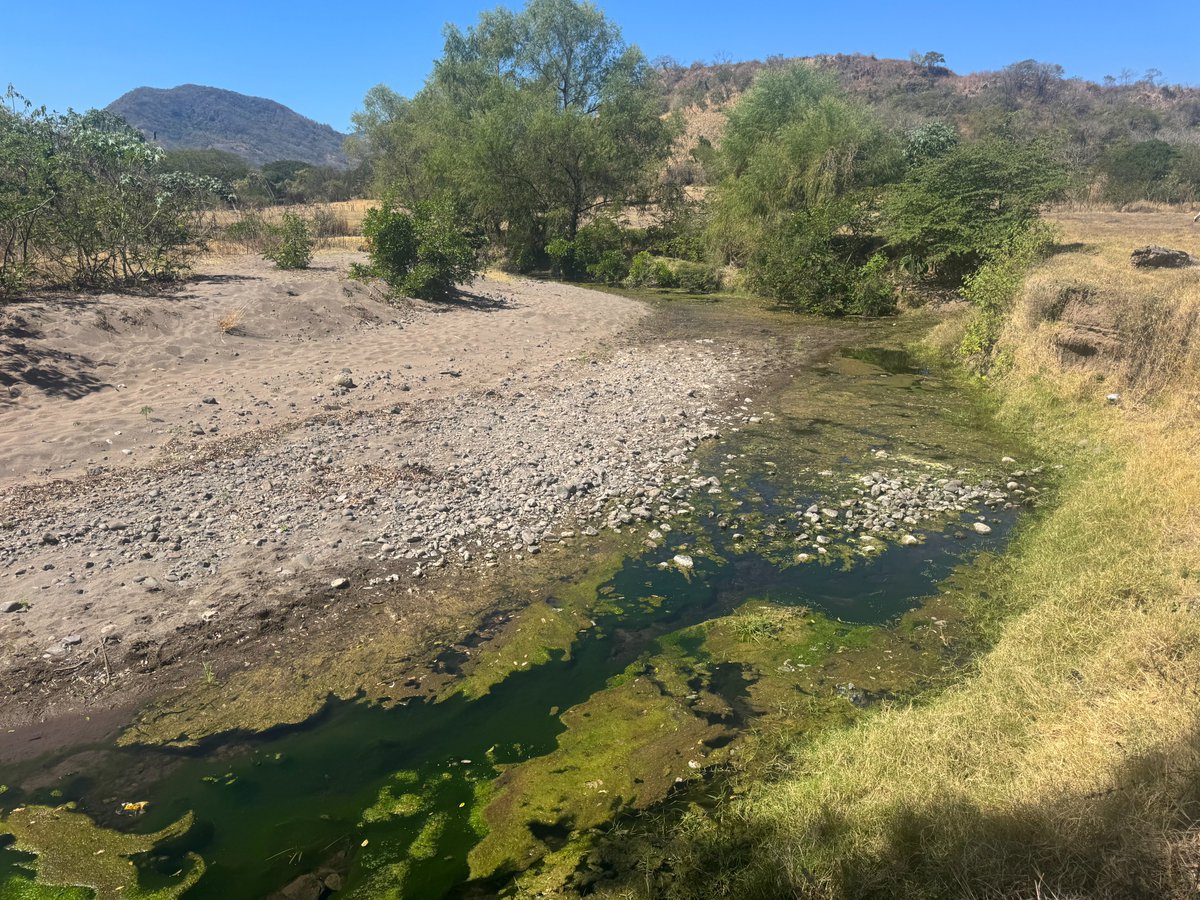 Will in paradise 🇸🇻 tweet media