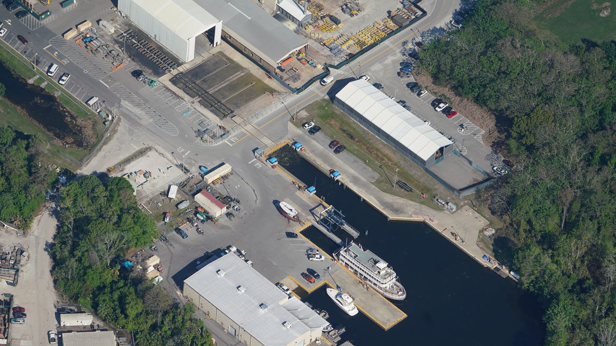 bioreconstruct tweet media