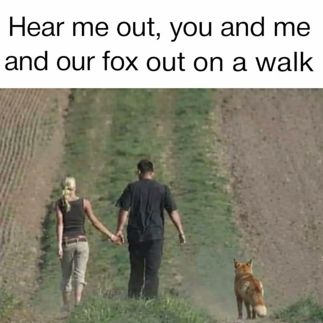 🍁 𝓣𝓱𝓮 𝓕𝓸𝔁 𝓛𝓲𝓯𝓮 🌾🦊 tweet media