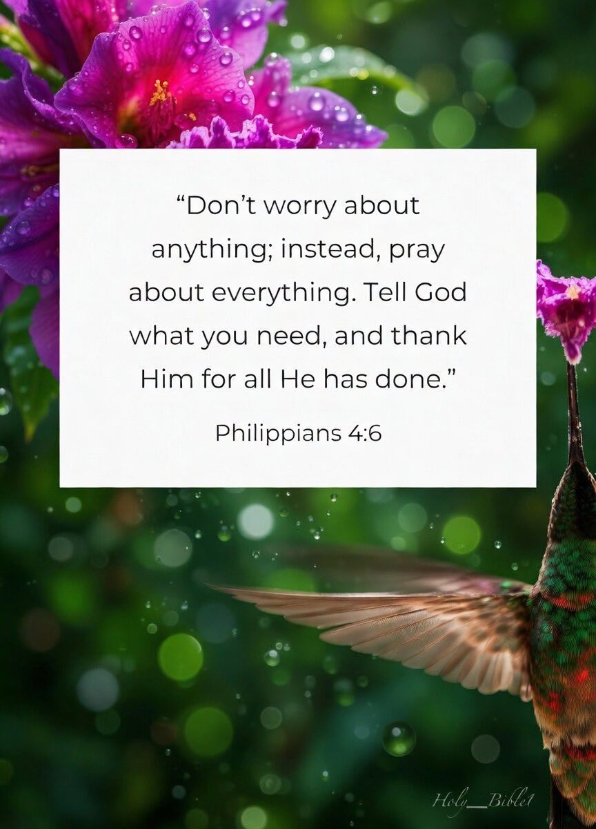 Holy Bible tweet media