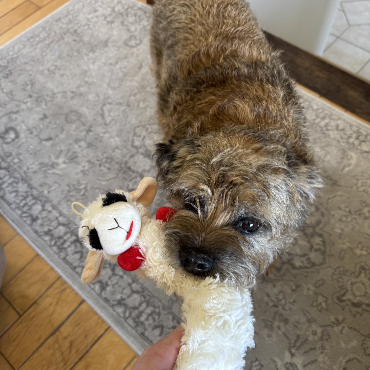 Hubble, Sir, OBE 🇨🇦 tweet media