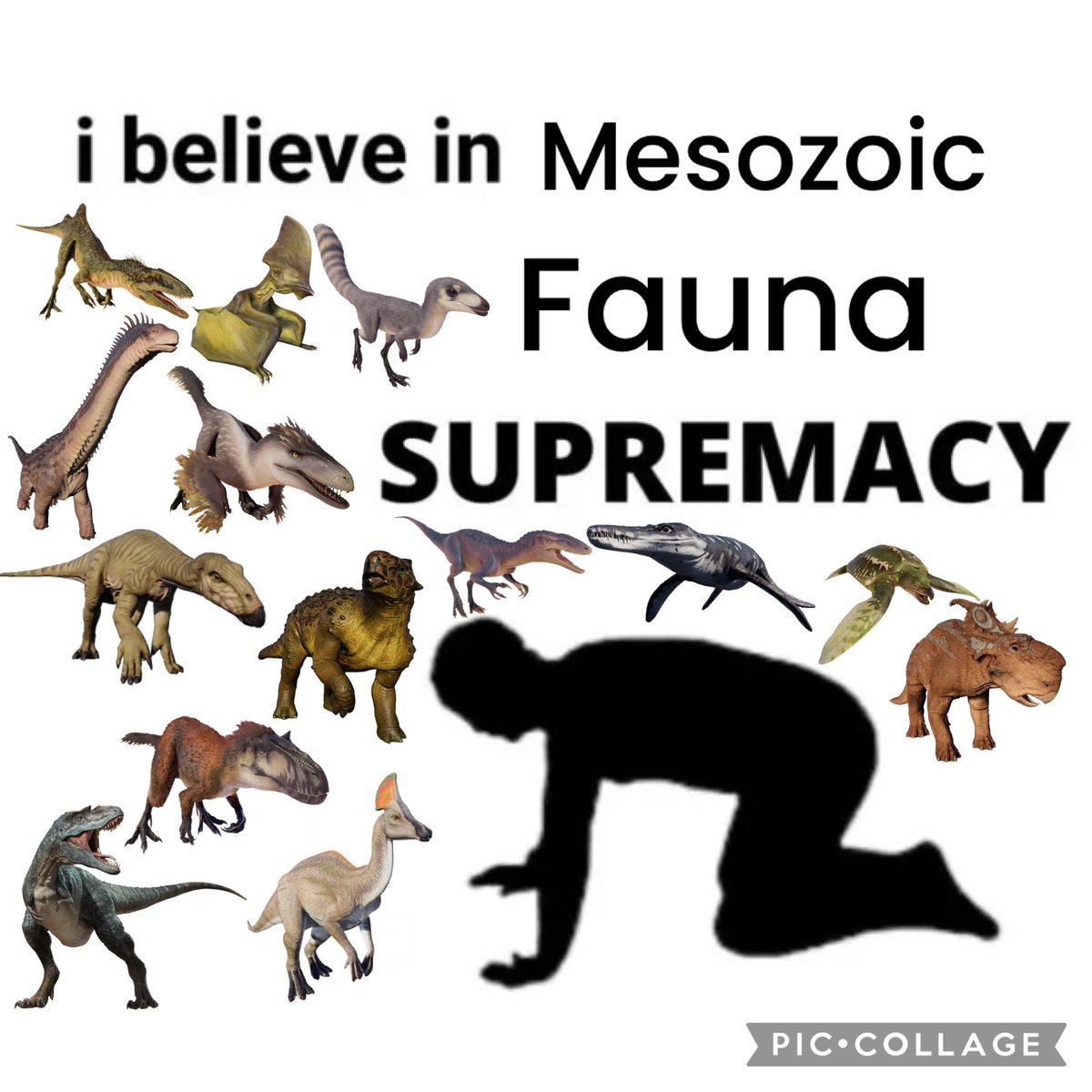 The Utahraptor Enthusiast 🦖🧬👾🐲 tweet media