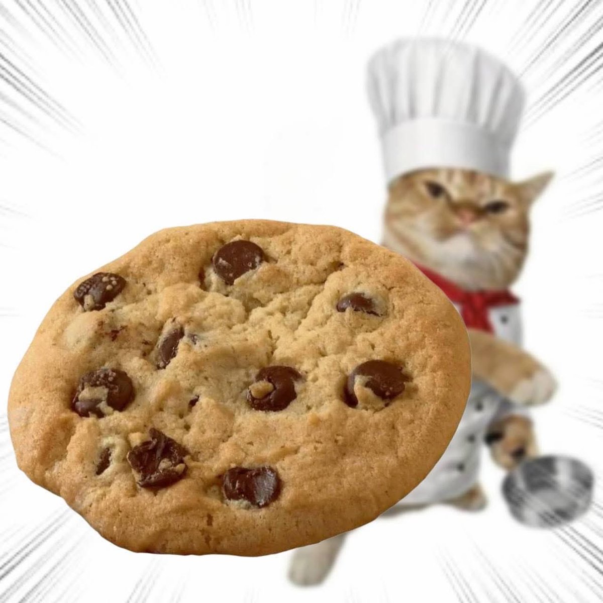 Throwing Things Daily tweet media