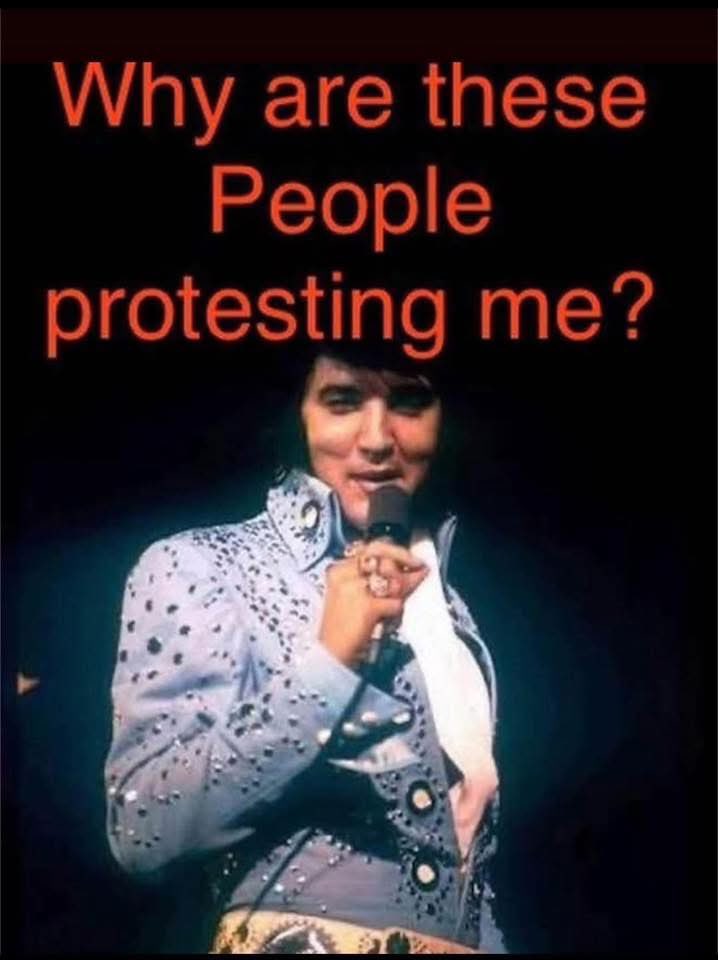 Pat C in Central FL 🏝☀️ tweet media