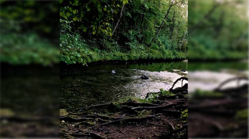 caribbeannewsuk's tweet image. #BELIZE: Two teenage boys were pulled into the river in Bullet Free Falls by strong currents while they were swimming on Friday, March 27, 2026. Both the teens were saved by the locals and were unharmed.