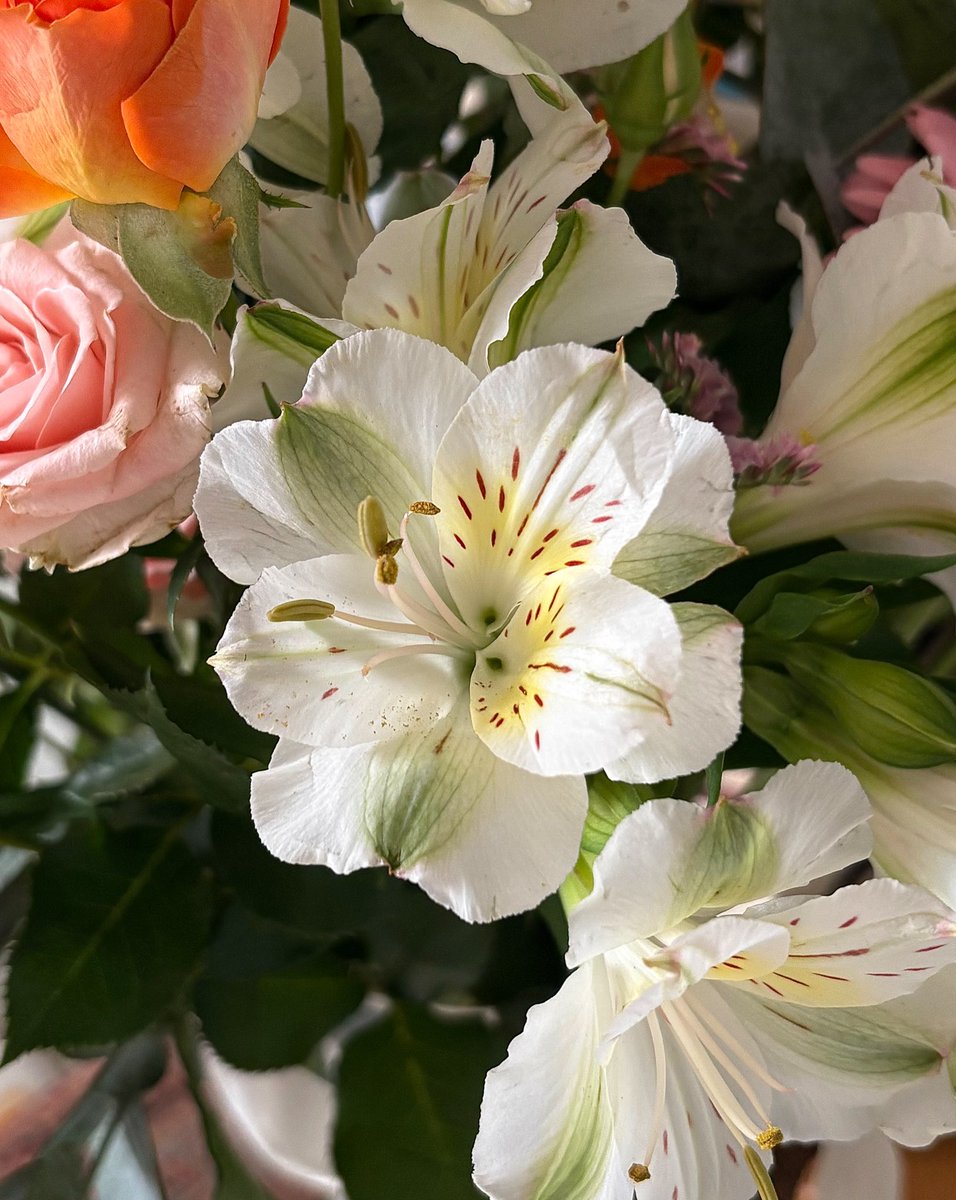 رغـد tweet media