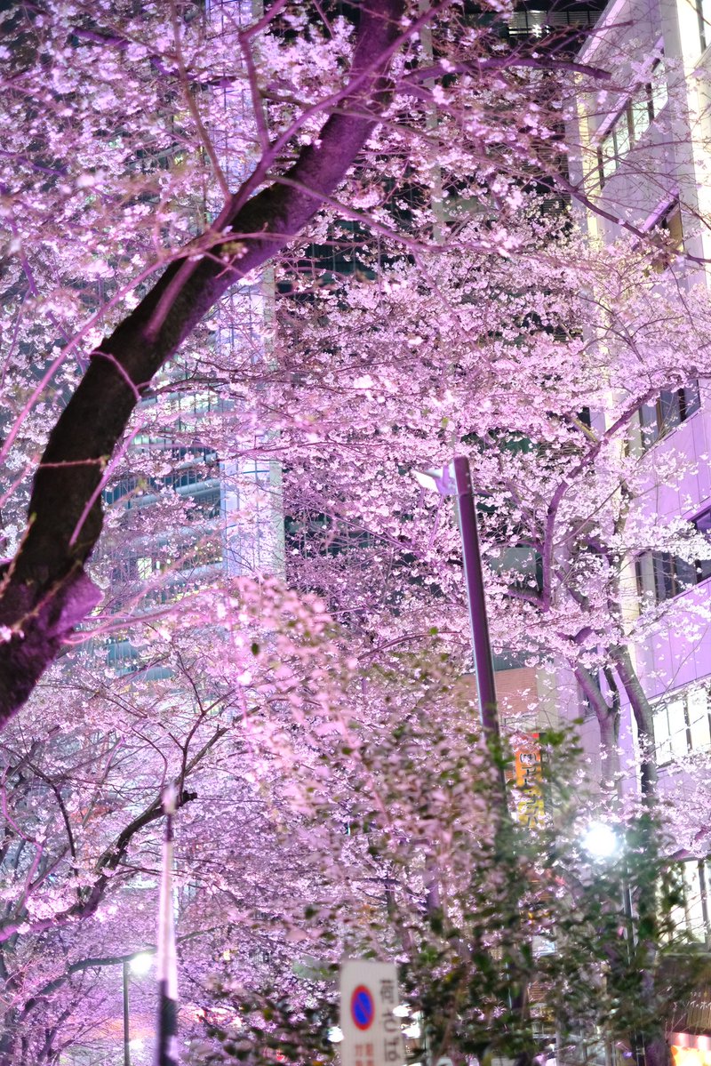 S.snafkine tweet media