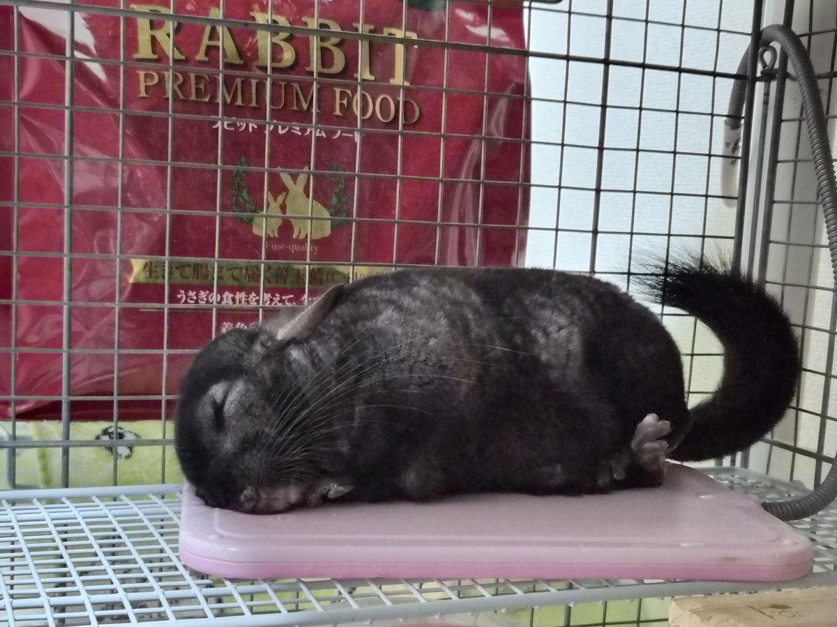 もぷる tweet media