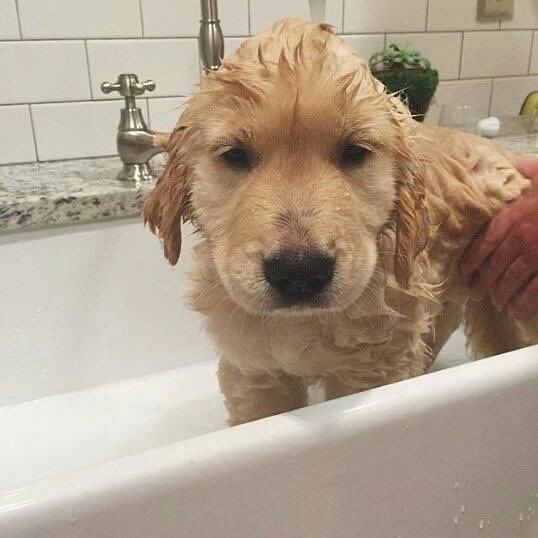 𝘯𝘯 ✩ ྀིྀིྀིྀིྀི tweet media