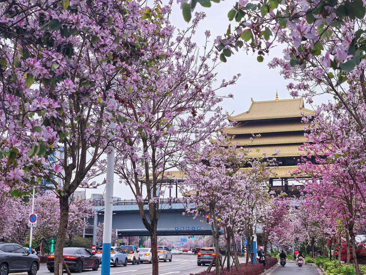 🐾🌧️ tweet media