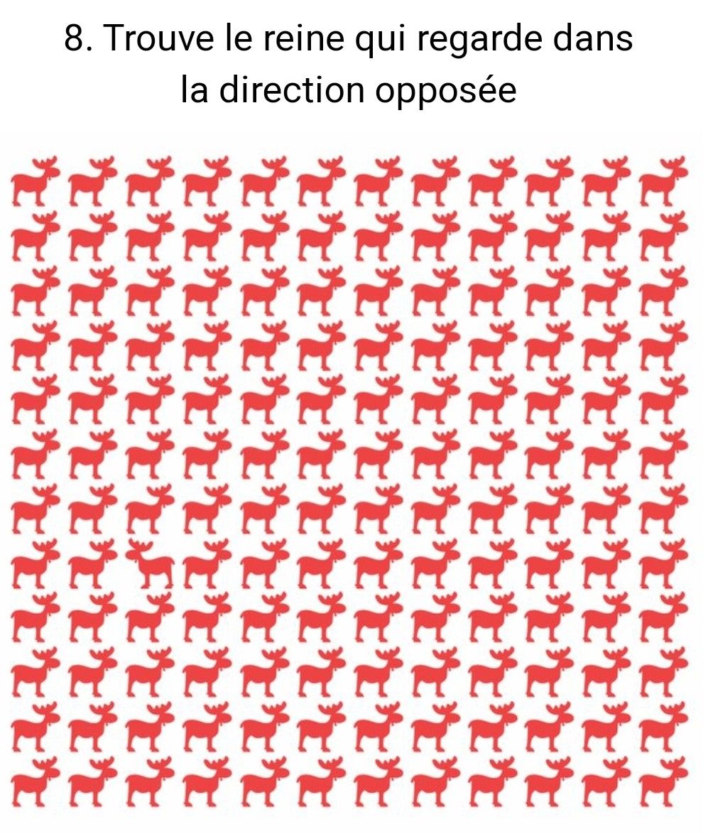 PlanPlan-Bilou tweet media