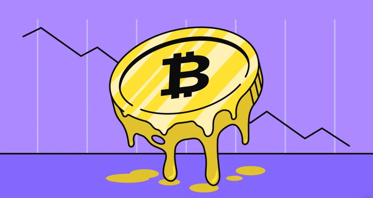 코인끼리 tweet media