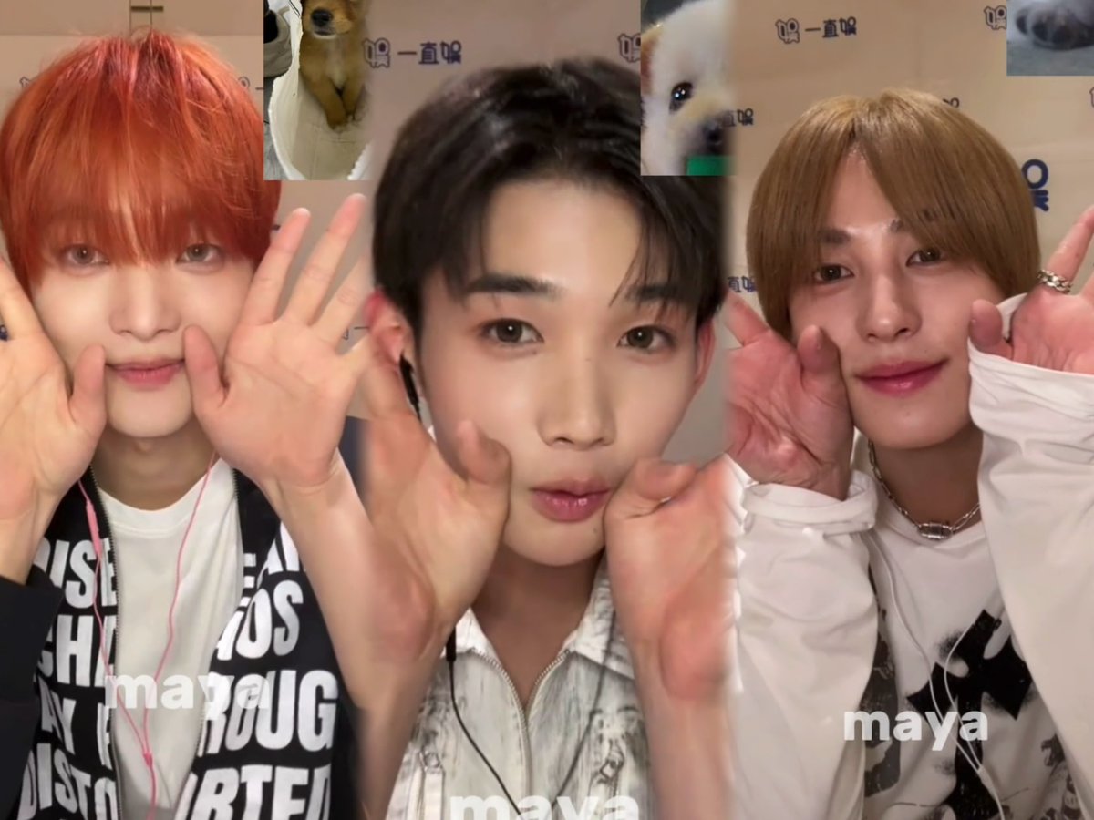 el ❀⋆ tweet media