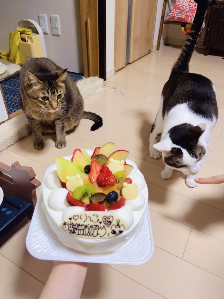 山内里紗🐏🍊 tweet media