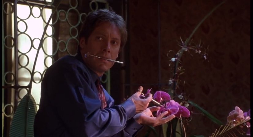 𝚂𝚎𝚊𝚐𝚛𝚊𝚟𝚎 ♠️ tweet media