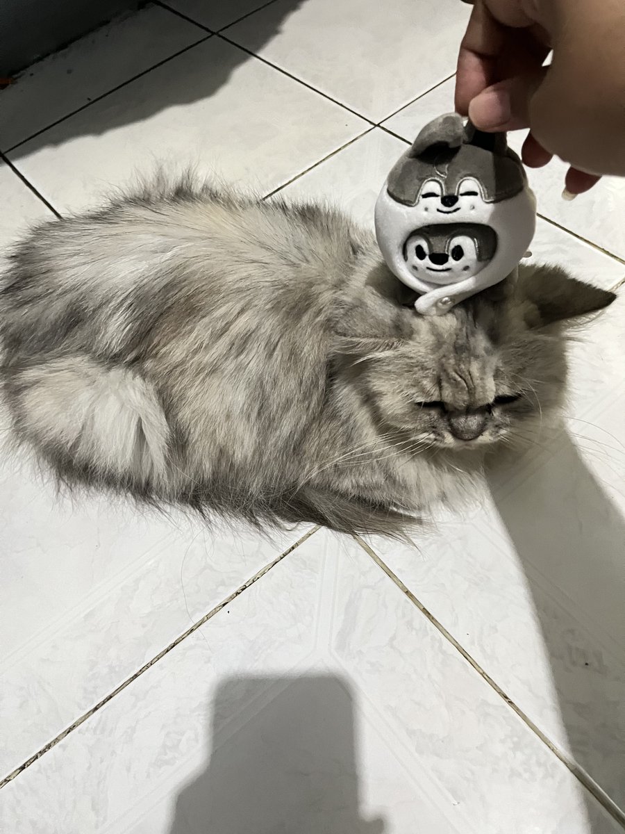 Yukawari tweet media