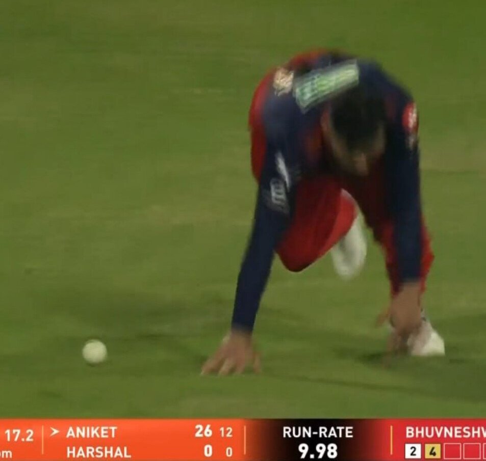 Barking Dog                            Never Bites