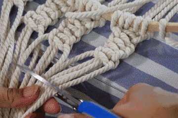 C C Rouge tweet media