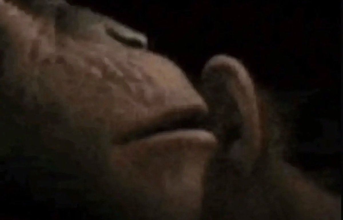 halo 🎧 tweet media