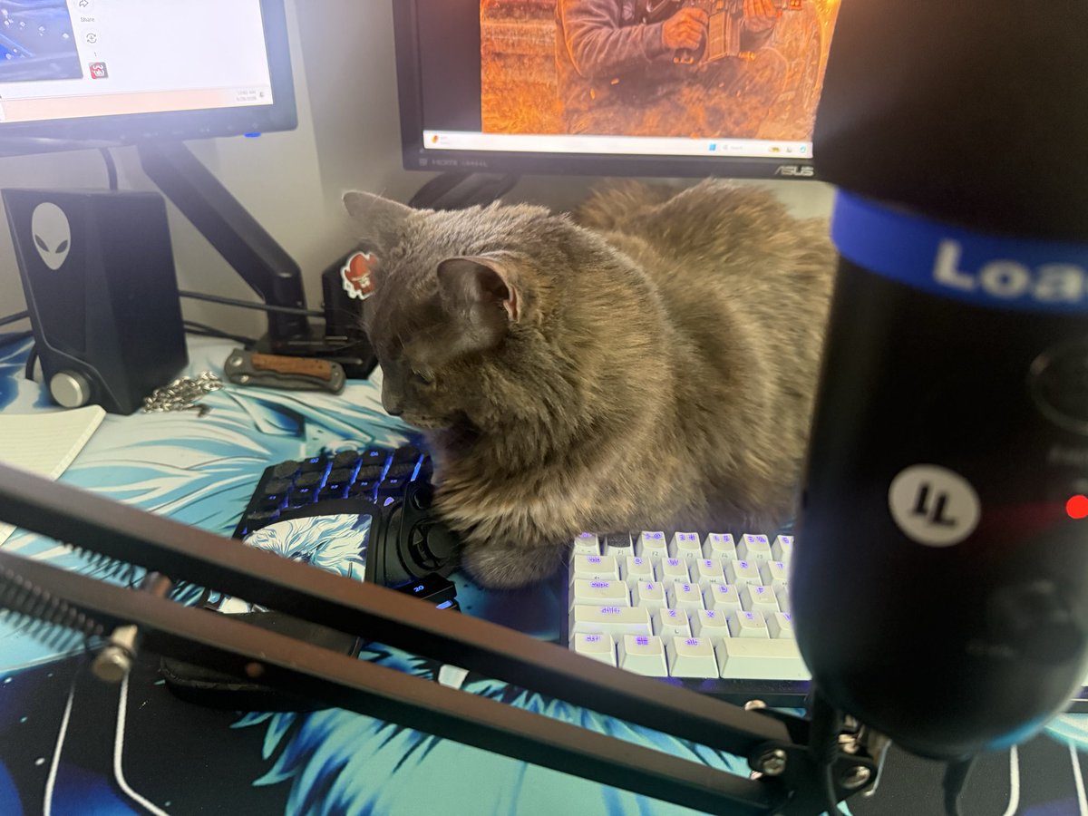 PAPABIGFOOT 🇺🇸 tweet media