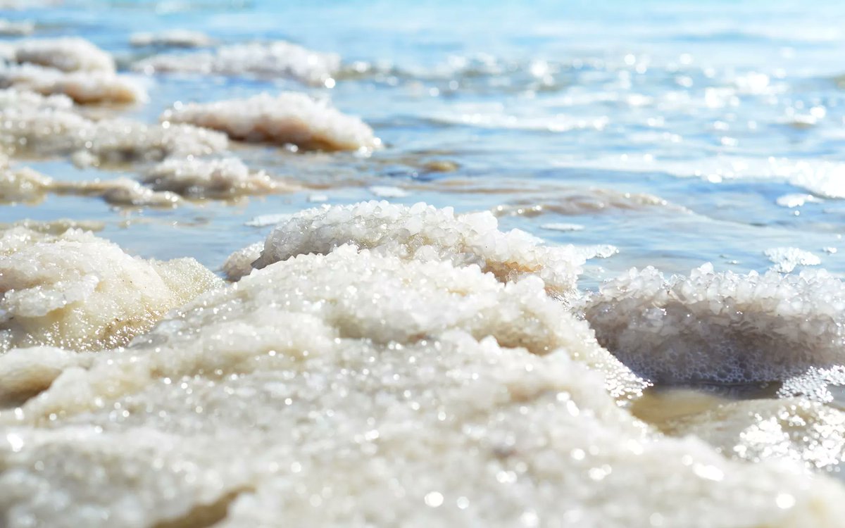 Sokhna Tabara Rassoul Wade🇸🇳 tweet media