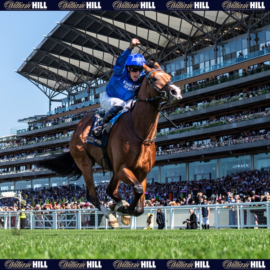 William Hill Racing tweet media