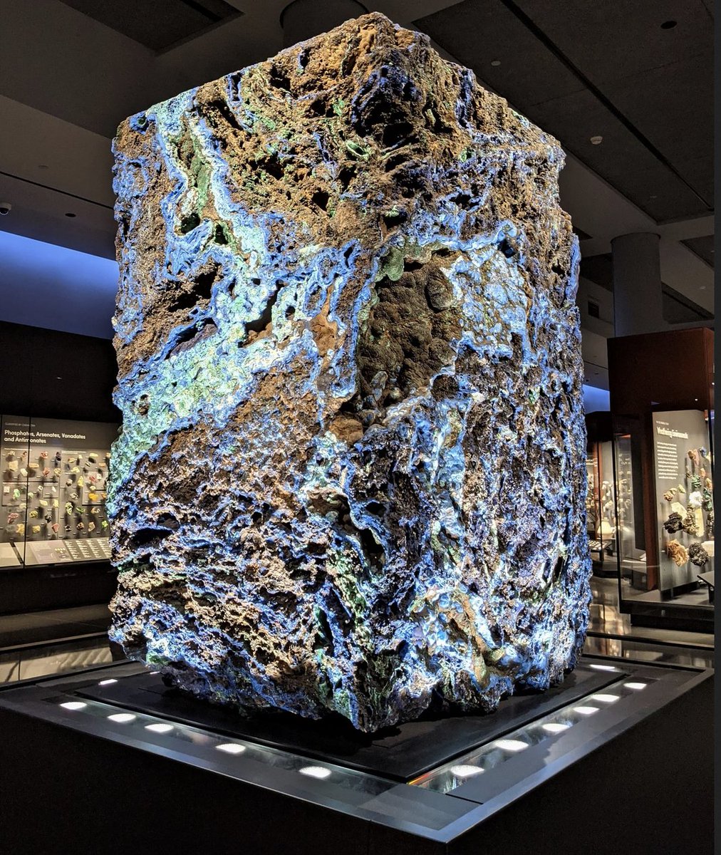 Dark Journalist tweet media