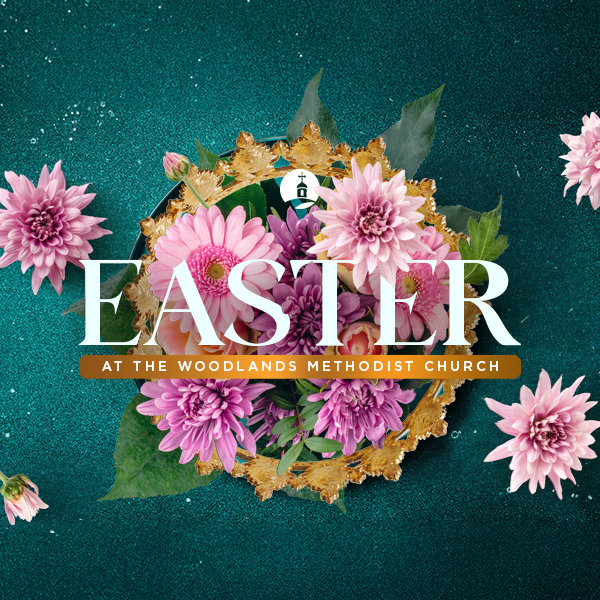 Hello Woodlands tweet media