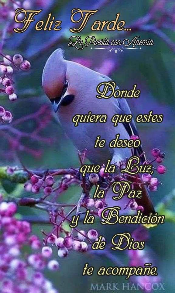 Profesora2.0😍🇨🇱🎼🌈👻 tweet media